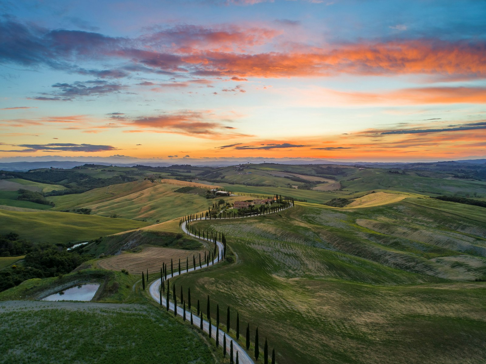 A cypress-lined road winding through the rolling hills of Tuscany, Italy, at sunset
