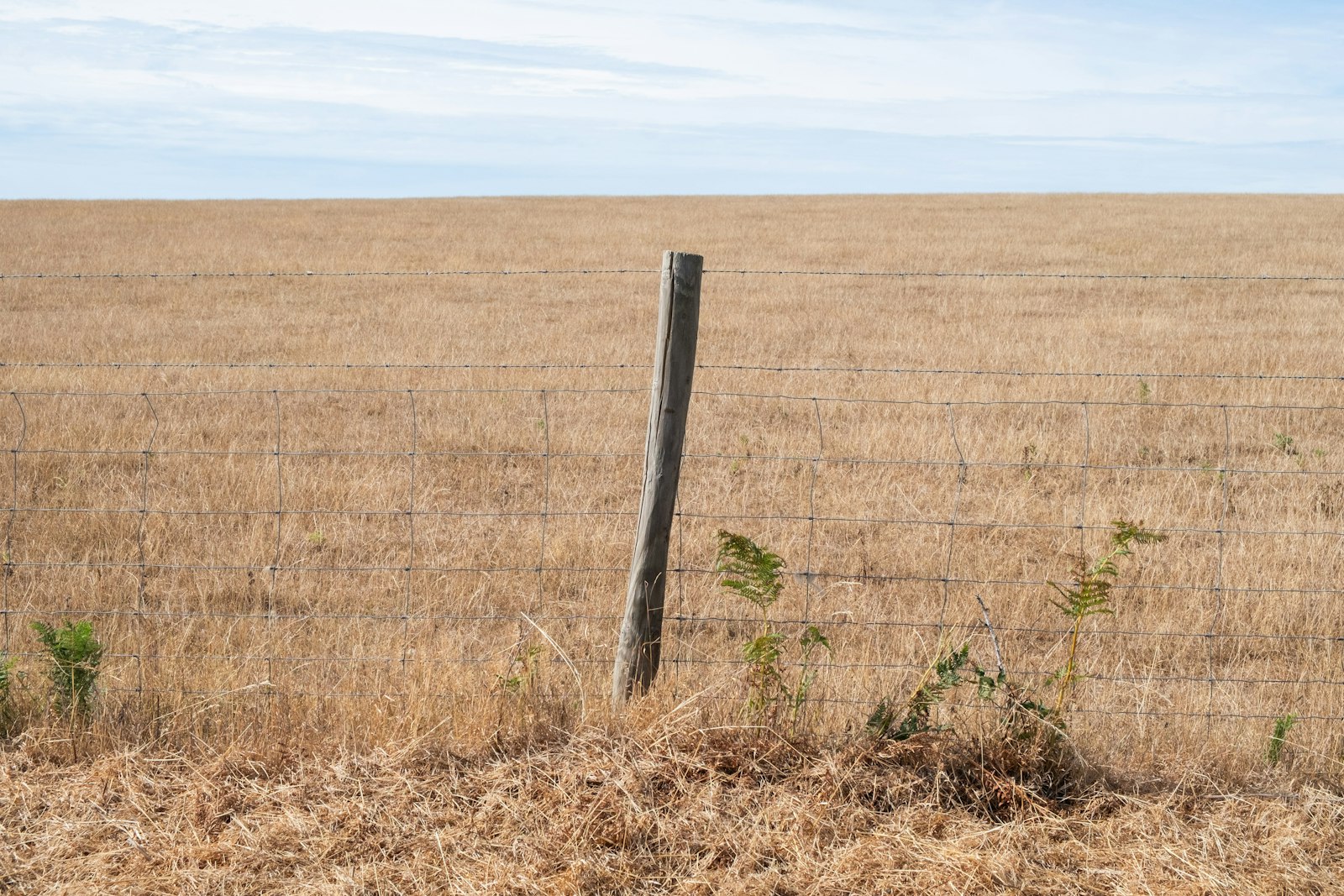 Open countryside with a simple fence line, illustrative of the setting of a privately held equestrian centre