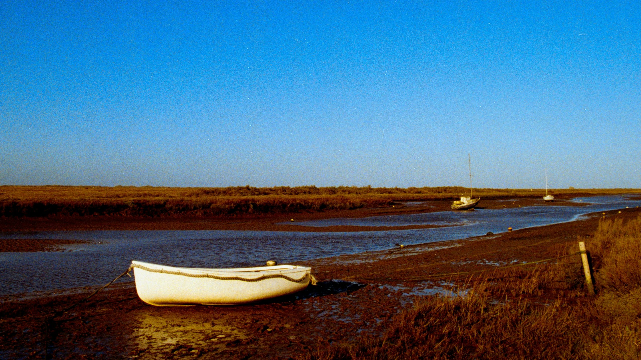 A small boat resting on tidal mudflats at low tide, illustrative of the Sado estuary's working fishing landscape