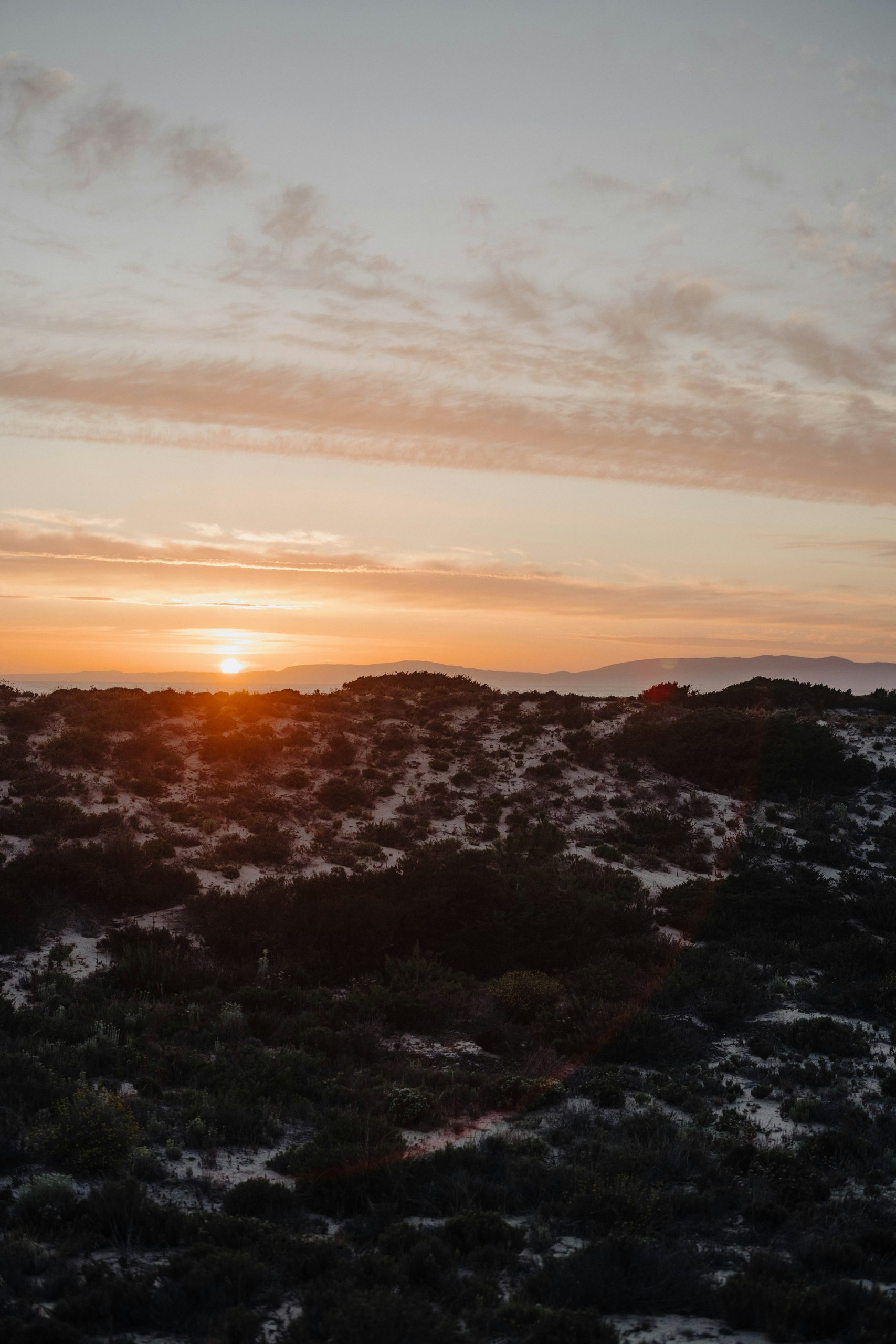 Dunes and pine trees at sunset near Comporta, Portugal